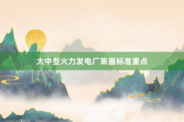 大中型火力发电厂策画标准重点