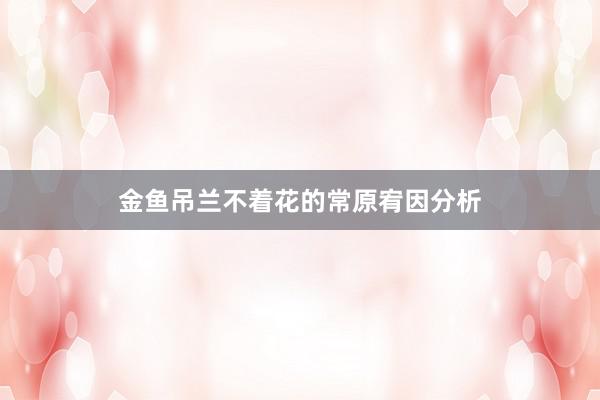 金鱼吊兰不着花的常原宥因分析